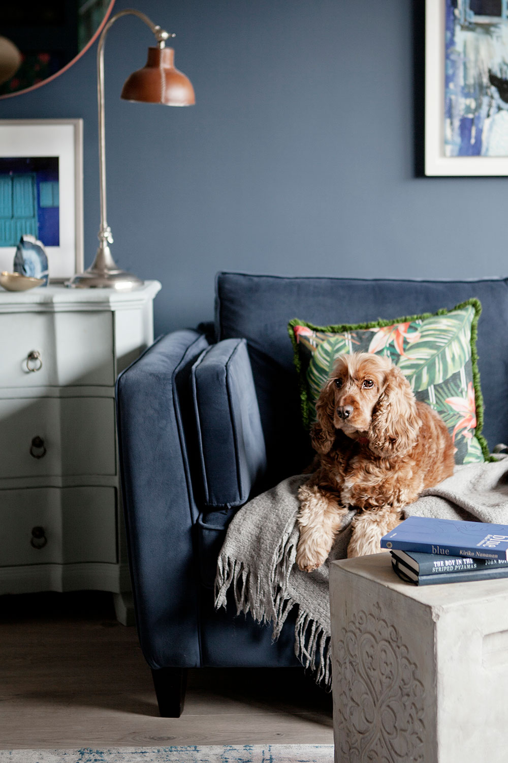 Interiors By Caroline - Victoria Villas - Dog on couch. Clontarf, Dublin 3